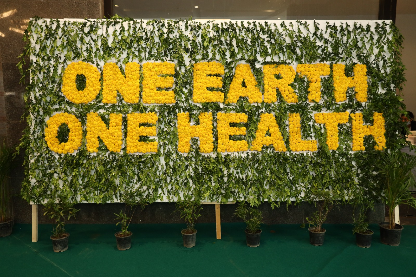 Comprehending the Transformative Vision of One Earth One Health-Advantage Healthcare India
